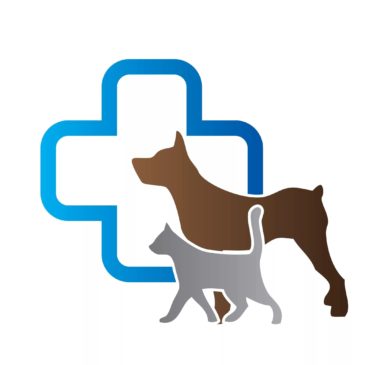 Ντορίνα Τουρλέα